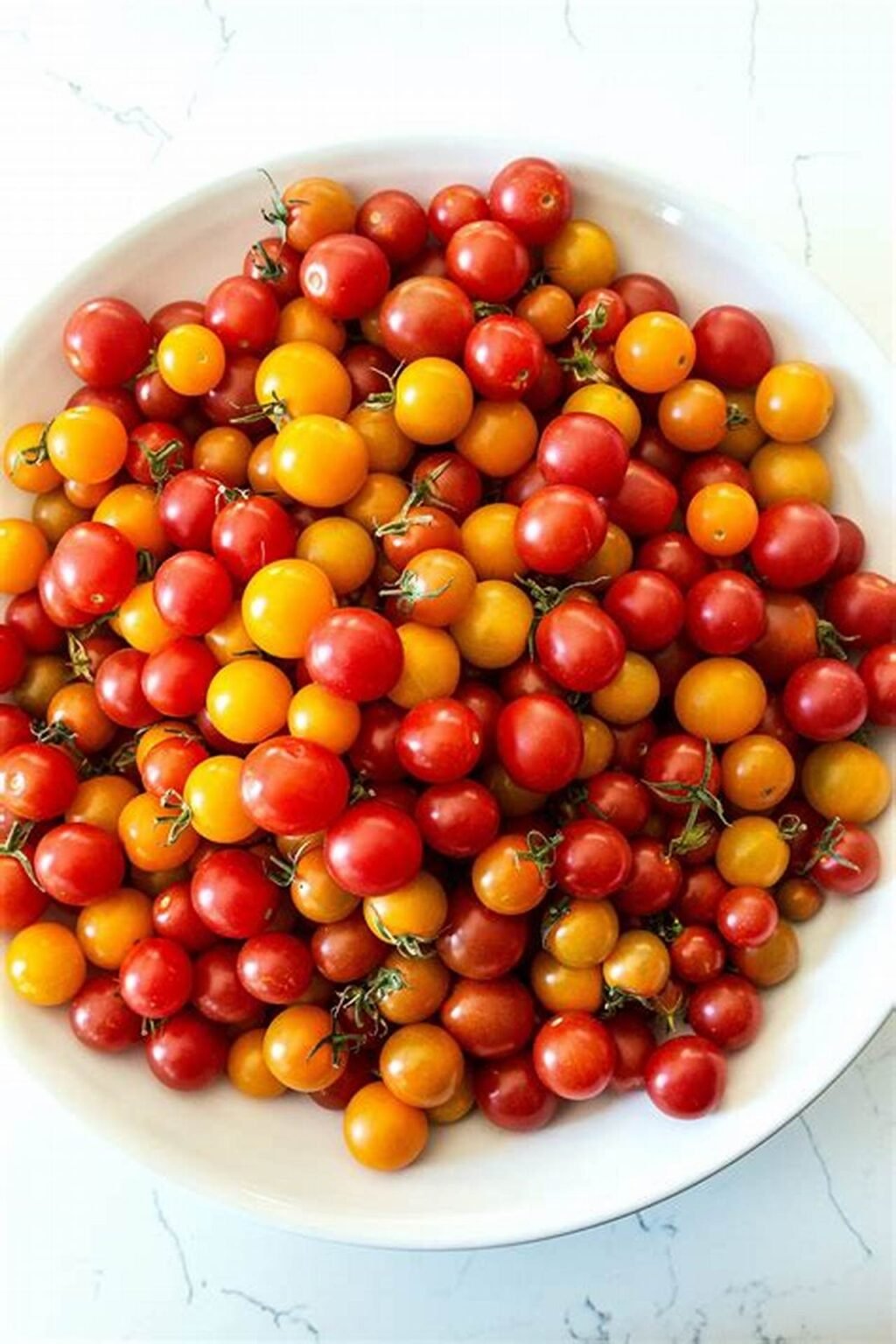 Tomato farmers sasaklolohan