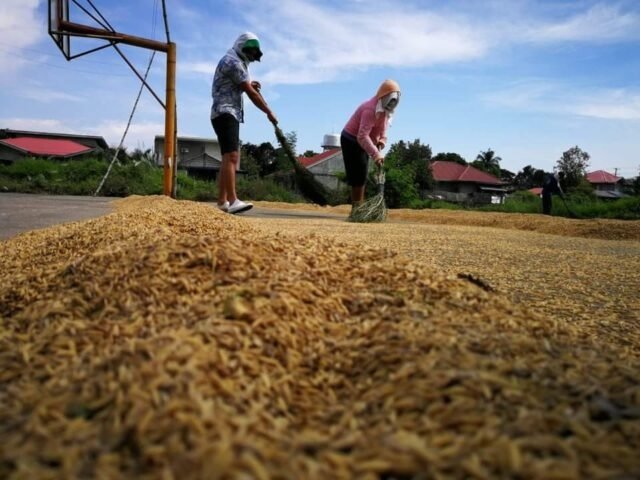 DA at DPWH, pinagtibay ang P71.5M kasunduan